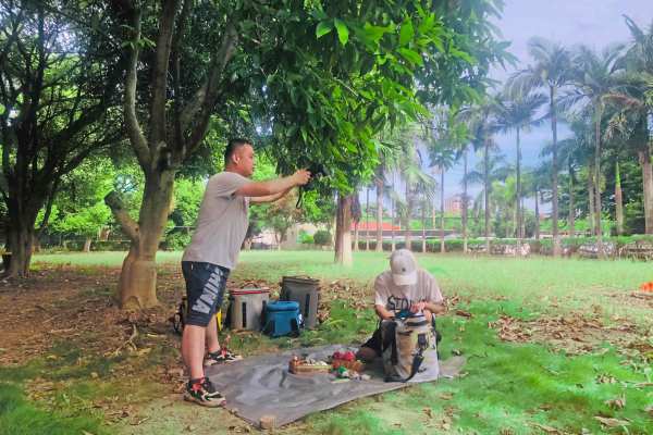 Team Work at Winfung
