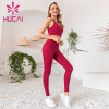 Custom Workout Apparel Professional Training Tight Drying Gym Suit For Women