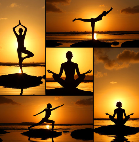 What Should A Novice Yoga Player Pay Attention To?