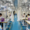 Communication and Project Management in Activewear Production
