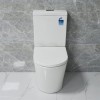 two piece toilet australian standard toilet supplier back to wall rimless toilet