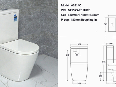 What is a rimless bathroom and which might be the exceptional!