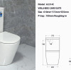 What is a rimless bathroom and which might be the exceptional!