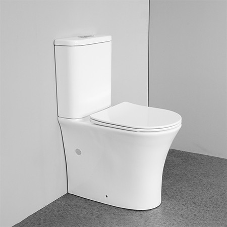 European standards floor mounted dual flush watermark P-trap two piece toilet