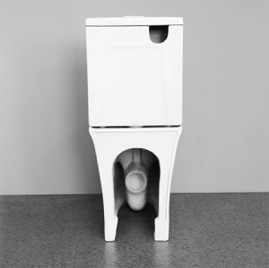 Europäische Norm Bodenmontage Doppelspülung Wasserzeichen Toilette Randlose Toilette P-Falle zweiteilige Toilette