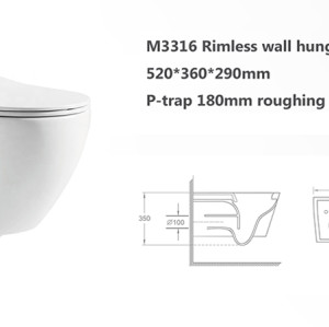 Bathroom product high quality chinese wall hung toilet rimless flush for bathroom