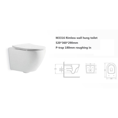 Bathroom product high quality chinese wall hung toilet rimless flush for bathroom