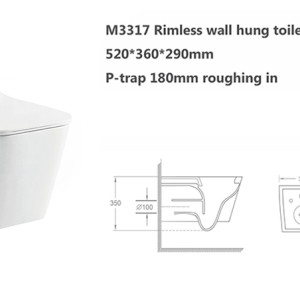 bathroom rectangle pan rimless wall hung toilet ceramic small size for hotel