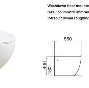 Floor mounted washdown toilet bowl one piece toilet for small bathroom wholesale