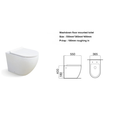 Floor mounted washdown toilet bowl one piece toilet for small bathroom wholesale