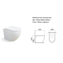 Floor mounted washdown toilet bowl one piece toilet for small bathroom wholesale