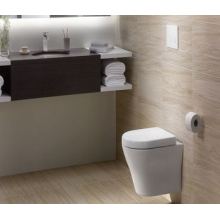 Why Are Wall Hung Toilet So Popular This Year?