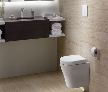 Why Are Wall Hung Toilet So Popular This Year?