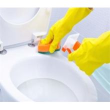 How to Clean a Toilet？
