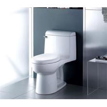 Working Principles of Flush Toilets