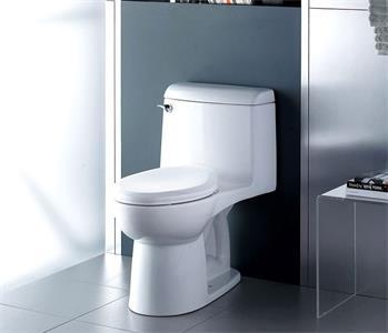 Working Principles of Flush Toilets