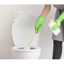 How to Get Rid of Toilet Odor?
