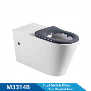 Handicapped standard length 800mm wholesale disabled toilet floor mounted for hotel