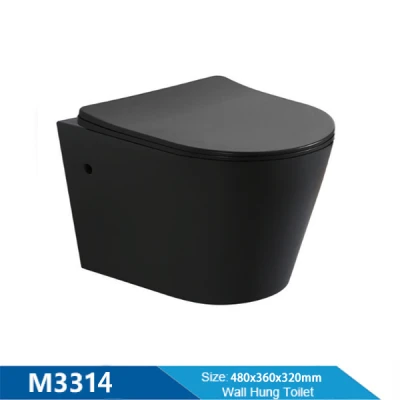 Verdeckter Tank Mattschwarze Wandtoilette und bunte Badezimmerkeramik