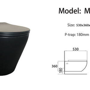 Matte black one piece wall hung Rimless toilet wall mounted for bathroom