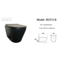 Matte black one piece wall hung Rimless toilet wall mounted for bathroom