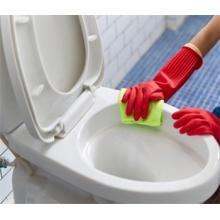 Specific Steps to Clean the Toilet