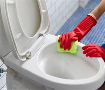 Specific Steps to Clean the Toilet