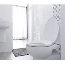 6 Considerations for Choosing a Toilet