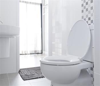6 Considerations for Choosing a Toilet