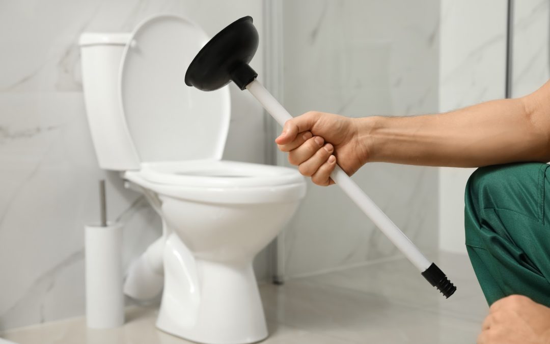 the common causes of toilet blockage and how to unblock it.