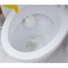 8 Precautions for Maintaining the Toilets
