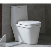 How to Choose the Right Toilet According to Your Needs?
