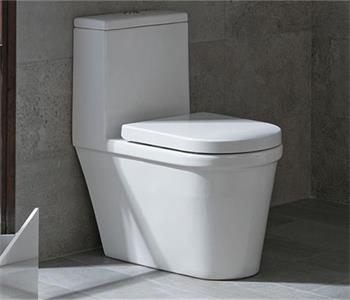How to Choose the Right Toilet According to Your Needs?