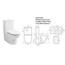 Watermark and WELs certificated washdown two piece toilet for bathroom