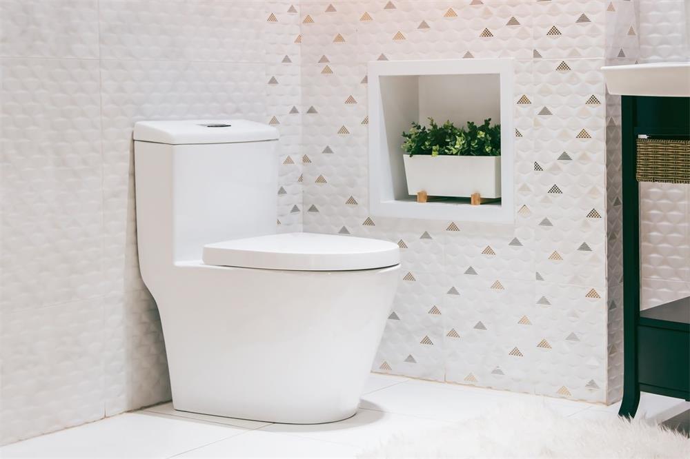 the common classification of toilets and the corresponding purchase points