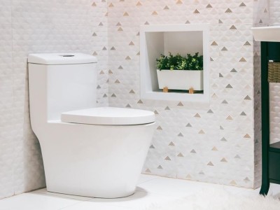 Common Classification and Purchase Points of Toilets