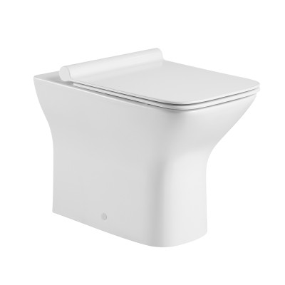 china manufacture washdown back to wall toilet with seat cover one piece toilet