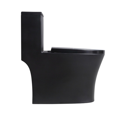 Sanitärkeramik schwarz bodenmontierte einteilige Toilettenkommode Tiefspül-Badezimmertoilette