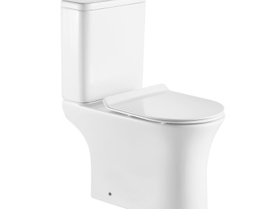 Wall-mounted and floor-mounted toilets