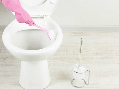 Reasons and Solutions for Toilet Odor