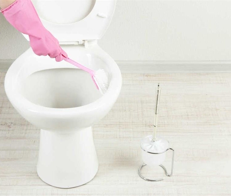 Reasons and Solutions for Toilet Odor