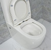 One-Piece vs. Two-Piece Toilets: Key Differences, Pros & Cons Explained