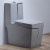 heißer verkauf luxus gold linie design grau schwarz kommode sanitärkeramik einteilige toilette