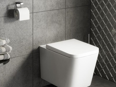 What Factors Need to Be Considered when Choosing a Wall Hung Toilet?