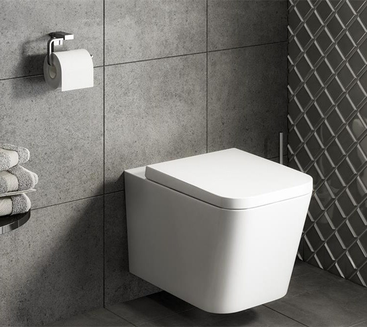 What Factors Need to Be Considered when Choosing a Wall Hung Toilet?