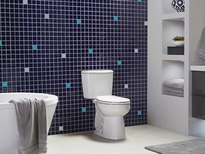 How to Save Water in the Toilet?