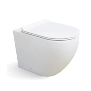 Floor mounted washdown toilet bowl one piece toilet for small bathroom wholesale