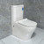 whirlpool watermark toilet two piece dual flush button toilet with Geberit