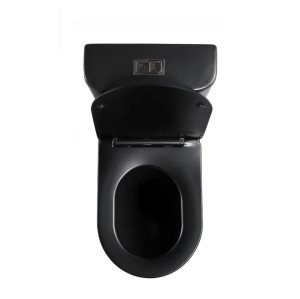 Whirlpool - Inodoro de dos piezas con descarga ciclónica, color negro mate, altura cómoda