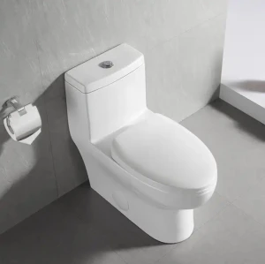 Inodoro de una pieza con asiento de cierre suave, conjunto de inodoro, artículos sanitarios, inodoro de cerámica CUPC
